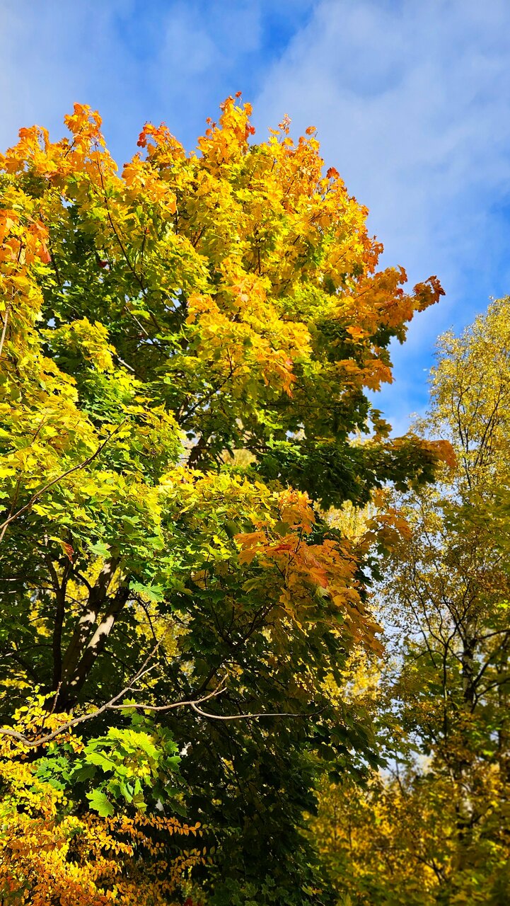 Гостиница Parklane Resort and SPA Санкт-Петербург-20