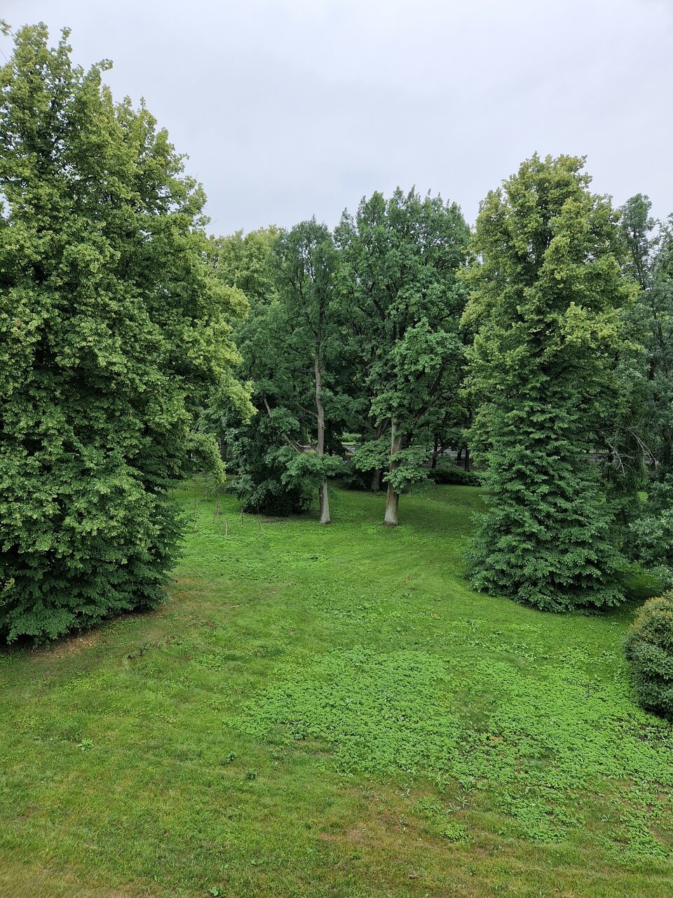 Гостиница Parklane Resort and SPA Санкт-Петербург-89