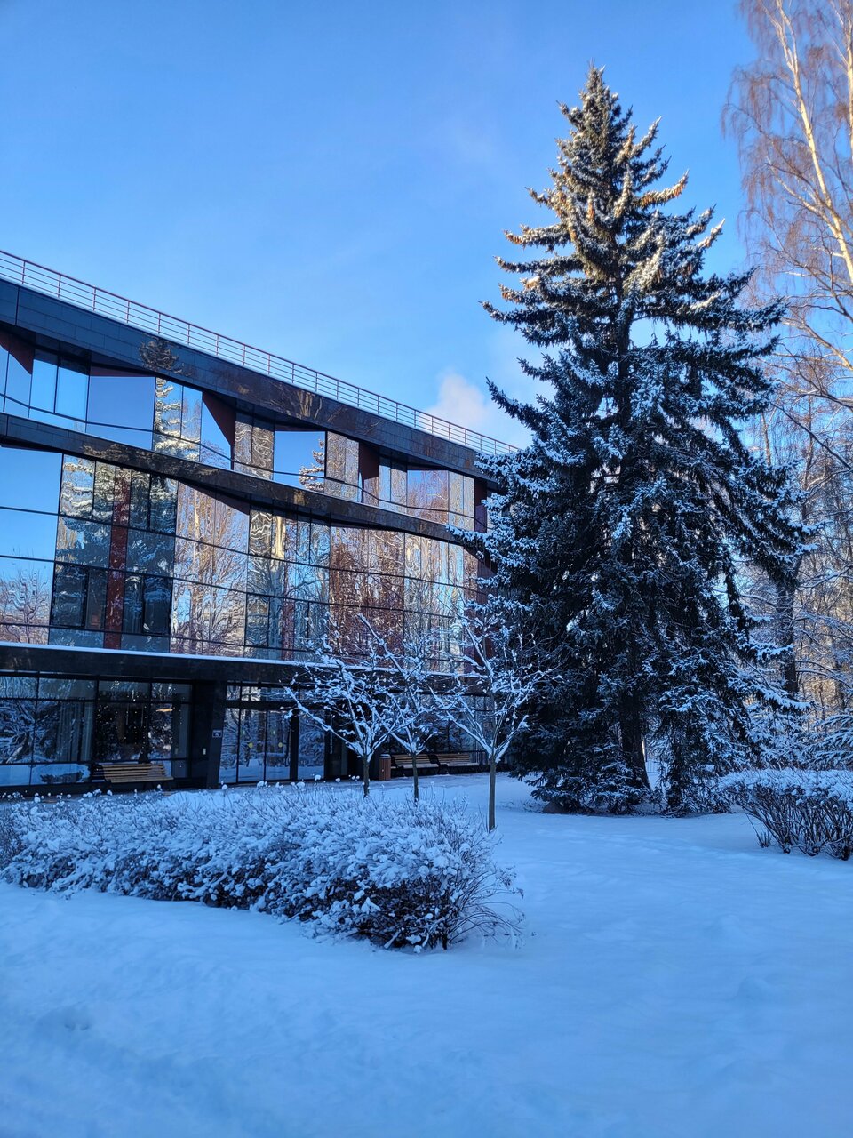 Гостиница Parklane Resort and SPA Санкт-Петербург-119