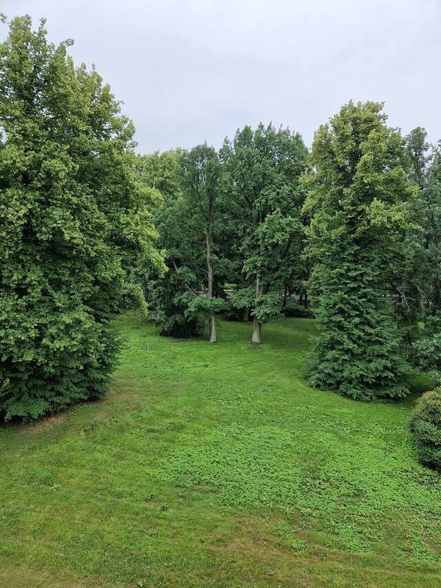 Гостиница Parklane Resort and SPA Санкт-Петербург-88