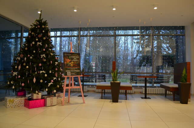 Гостиница Parklane Resort and SPA Санкт-Петербург-139